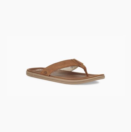 UGG Brookside - Flip Flops Herre - Brune (NO-X928)